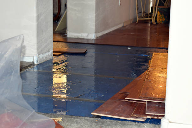 Professional Basement Flood Cleanup technician working in Allardt, TN